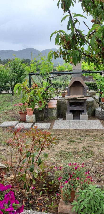 Villetta di Rosa Appartamento Marciana  Esterno foto